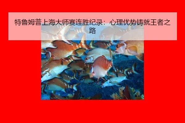 te-lu-mu-pu-shang-hai-da-shi-sai-lian-sheng-ji-lu-xin-li-you-shi-zhu-jiu-wang-zhe-zhi-lu-2-284.jpg