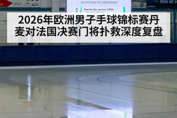 2026年欧洲男子手球锦标赛丹麦对法国决赛门将扑救深度复盘